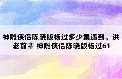 神雕侠侣陈晓版杨过多少集遇到。洪老前辈 神雕侠侣陈晓版杨过61